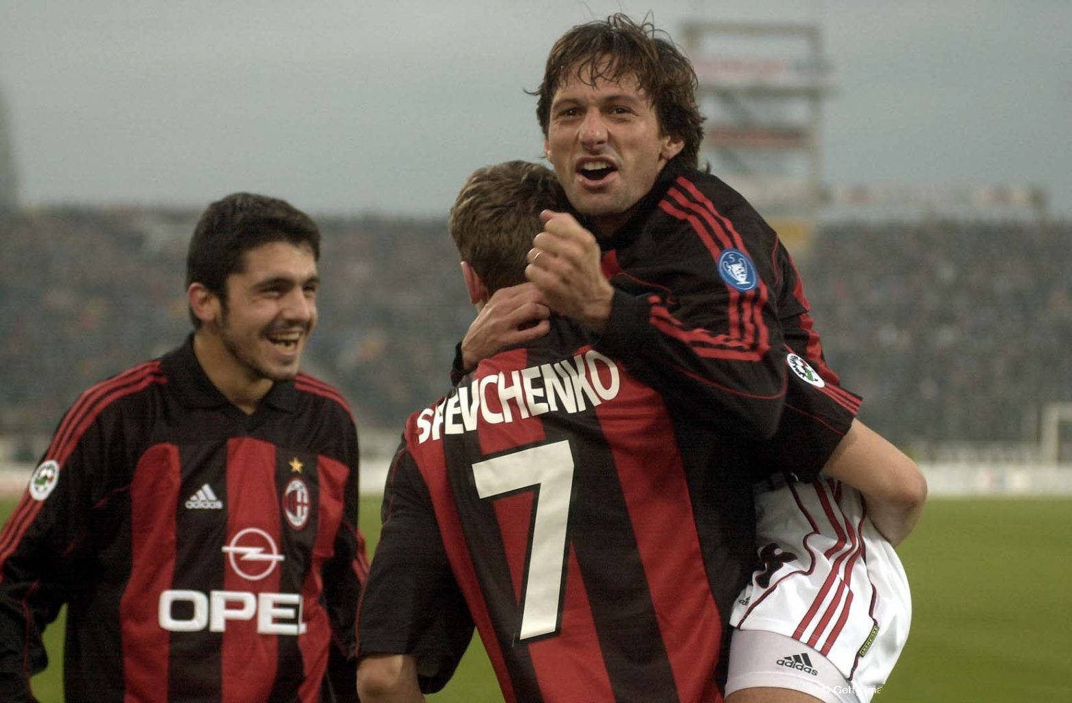 从事或关注 从事或关注